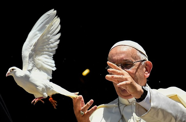 galamb, Ferenc pápa